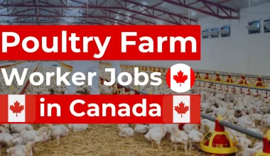Canada Poultry Jobs with Visa Sponsorship